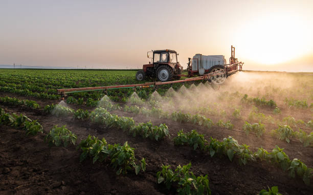 Reliable Edmundson, MO Pest Control Solutions